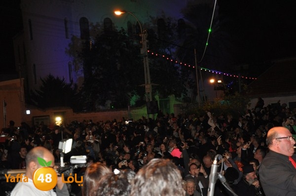 tree light 1208 (70).JPG